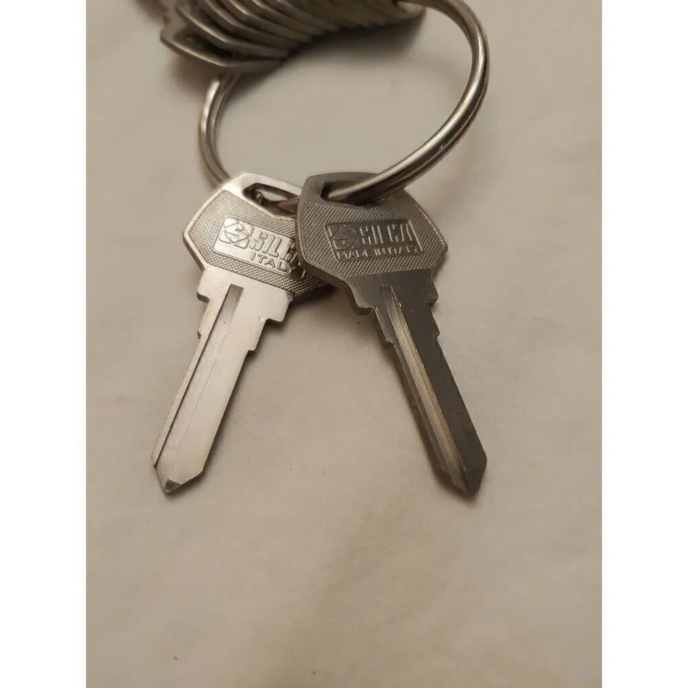 Set Of 2 Harley Davidson Silca Blank HY5R Keys